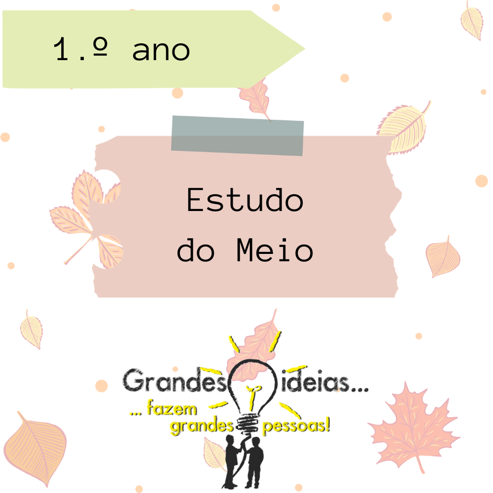 Sebenta - Estudo do Meio - 1.º ano